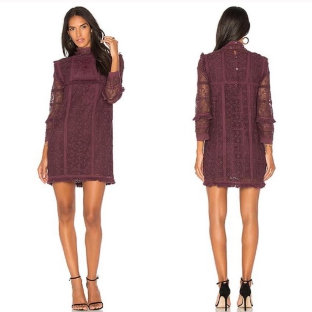 Petite Elegant Lace Dress in Deep Purple